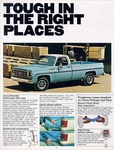 1977 Chevy Trucks-02